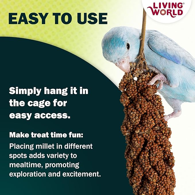 Living World – Millet Spray for Birds, 7 Oz – Premium Treat for Budgies - Image 7