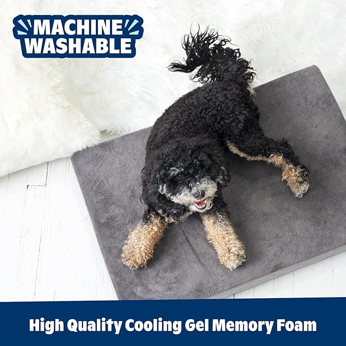 Barkbox Orthopedic Dog Bed - Image 5