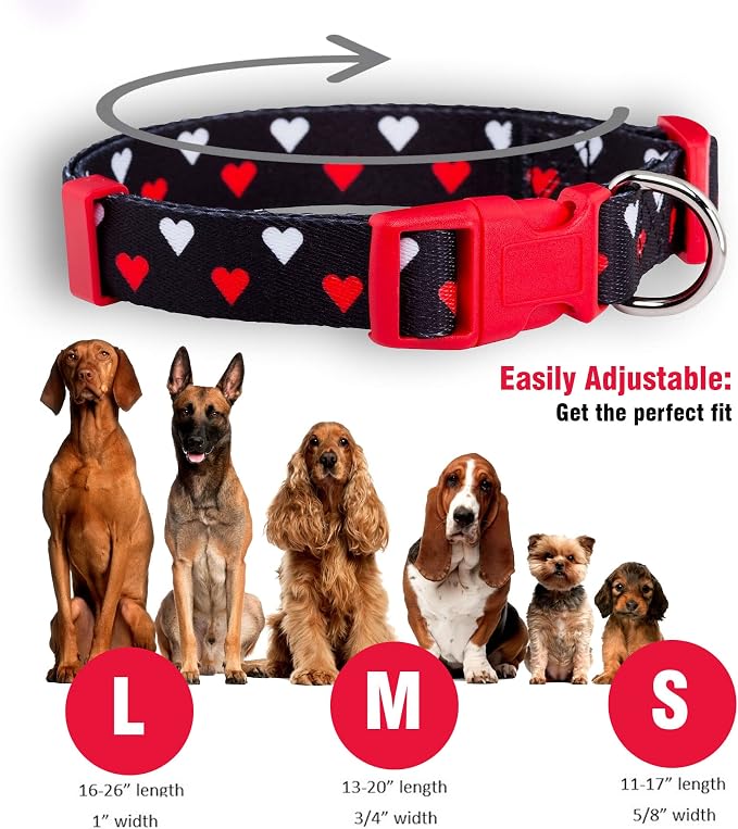 Native Pup Valentine’s Dog Collar- Valentines Day Pet Collars- Valentine Girly - Image 3