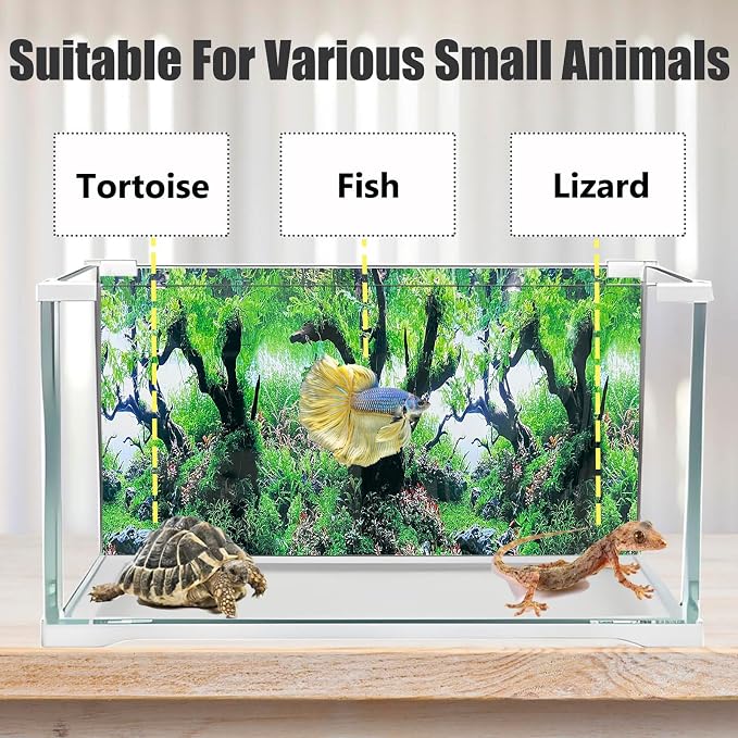 Fish Aquarium Background Poster Beach Fish Backdrop - Image 3