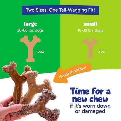 Chew'ems Durable Chewy Dog Toys | Long-Lasting & Flavorful Chew Dog Toys - Image 5