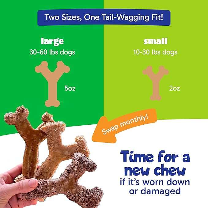 Chew'ems Durable Chew Toys for Small Dogs | Long-Lasting & Flavorful Chew Dog - Image 5