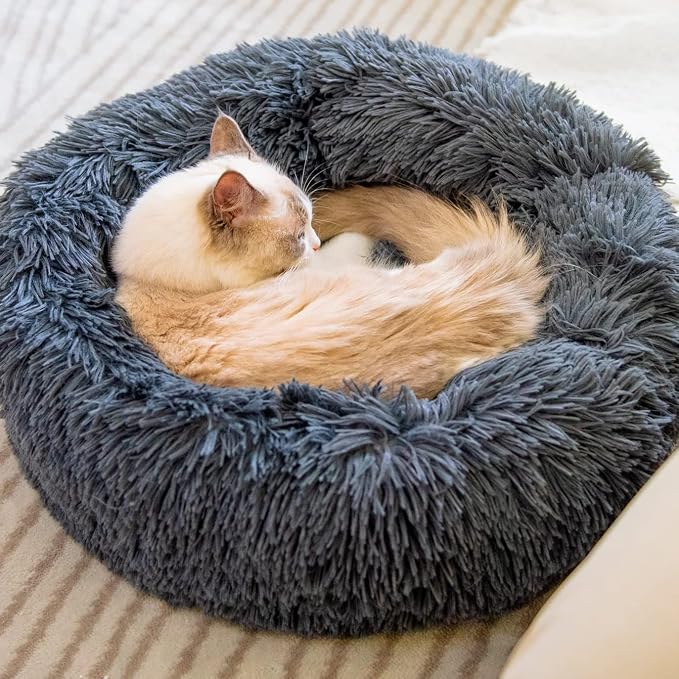Cat Beds for Indoor Cats - Image 2