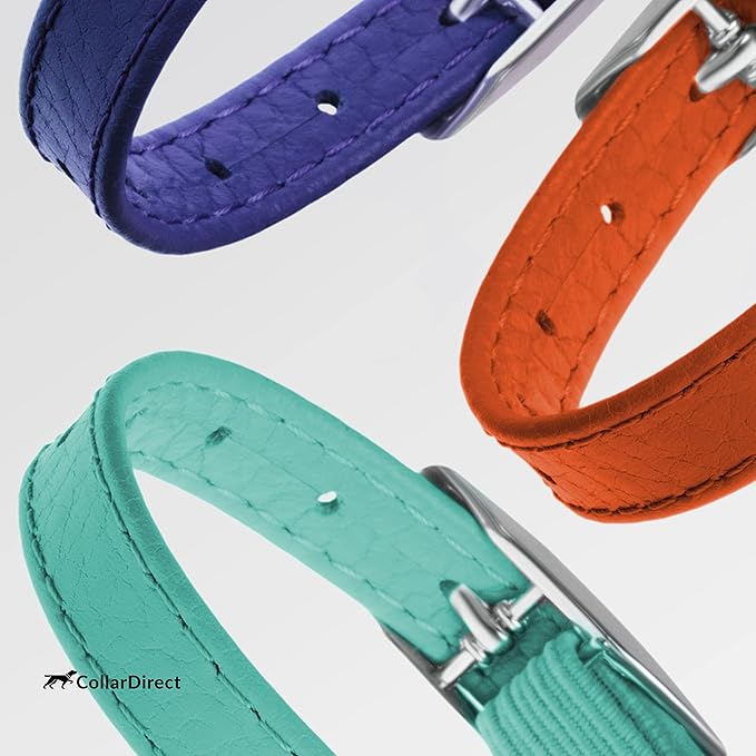 CollarDirect Leather Cat Collar, Kitten Collar - Image 8