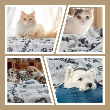 Dog Blanket, Premium Soft Dog Blanket Washable, 41x31inch Puppy Essentials Dog - Image 4