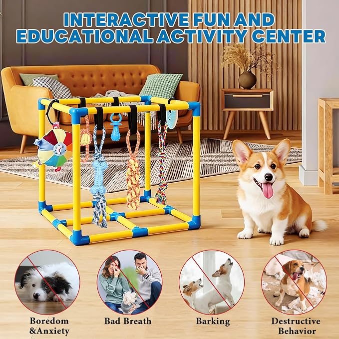 Puppy Play Gym for Small Dogs - Image 5