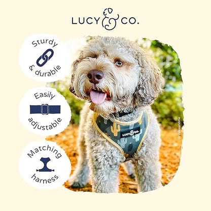 Lucy & Co. Looking Sharp Dog Collar - Image 3