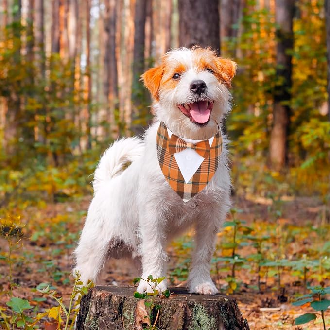 ADOGGYGO Fall Dog Tuxedo Bandana, Adjustable Halloween Thanksgiving Formal - Image 3