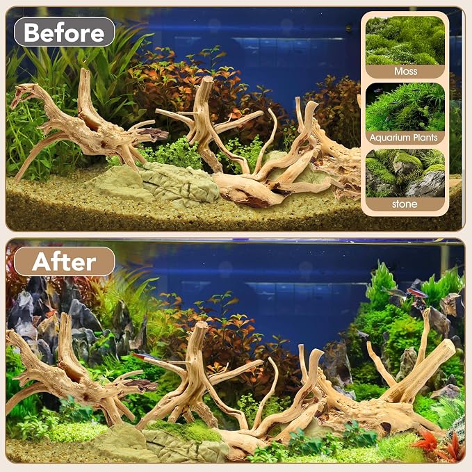 Jorewood Natural Small Spiderwood Driftwood - Image 7