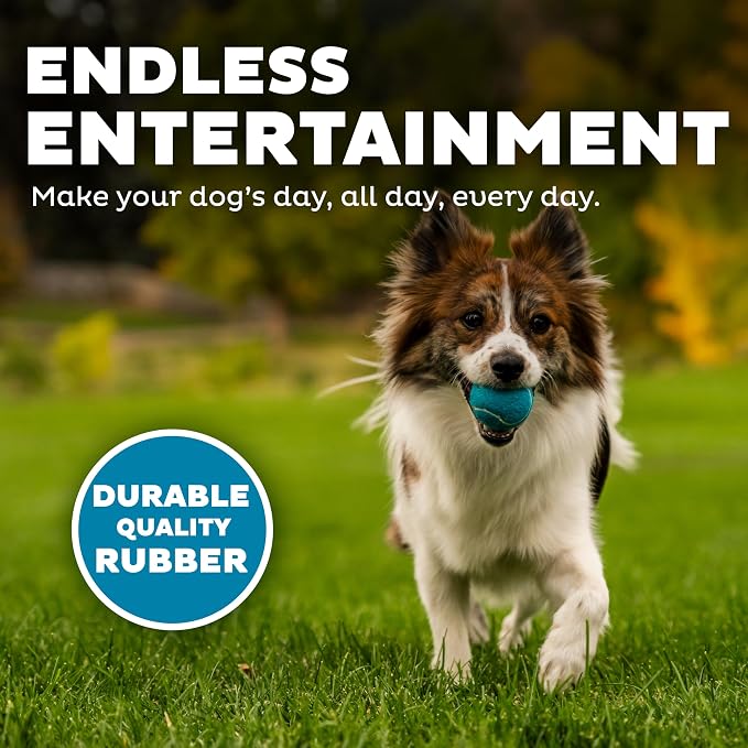 Outward Hound Squeaker Ballz – Squeaky Tennis Balls - Image 4