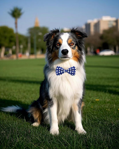 PET SHOW 5 Pack Pet Big Dogs Collar Embellishment Attachment Bow Ties - Image 6
