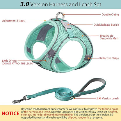 AIITLE Easy Walk Dog Harness and Leash Set - Image 2