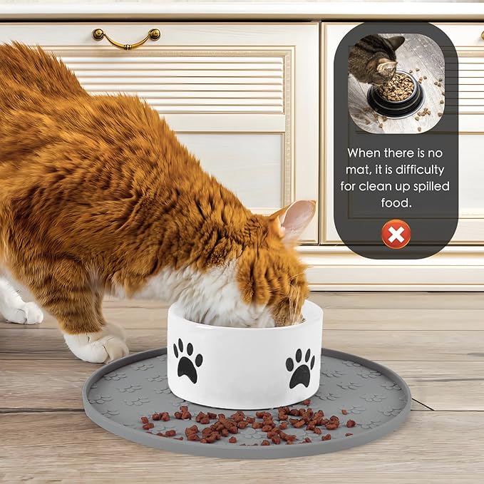 Silicone Pet Food Mat - Image 4