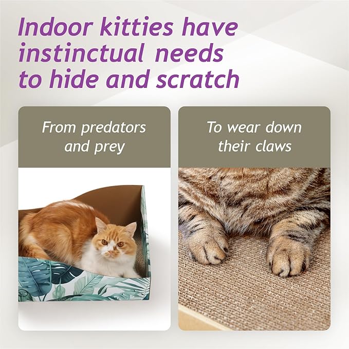 Hideaway Cat Scratcher Box for Indoor Cats - Image 4