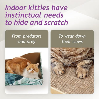 Hideaway Cat Scratcher Box for Indoor Cats - Image 4