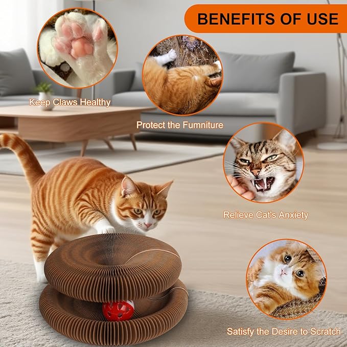 Magic Organ Cat Scratching Board - Image 4