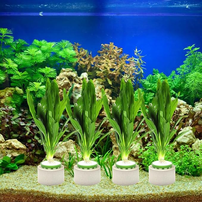 12 Pack Aquarium Plant Weights, Aquatic Plants Fixed Ring Set, Anti-Floating - Image 4