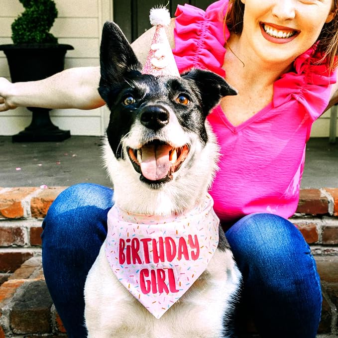Birthday Girl Dog Bandanas 1 Pack, Triangle Reversible Pet Scarves - Image 4