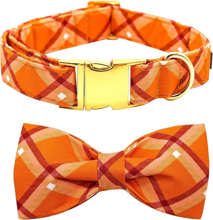 Fall Dog Collar, Pet Collar Bow Orange Plaid Dog Collar Girl Boy Holiday Pet by BoboRainbow