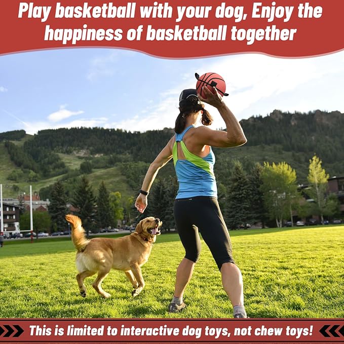 QDAN Dog Ball Basketball Toys, Balls - Image 6