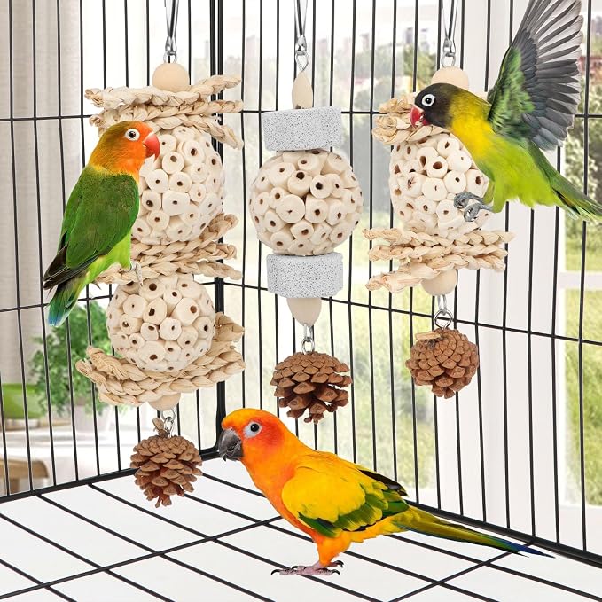 Wontee Bird Toys 3 Pack Parrot Foraging Hanging Toys Sola Ball Natural Nuts - Image 4