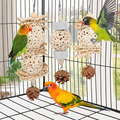 Wontee Bird Toys 3 Pack Parrot Foraging Hanging Toys Sola Ball Natural Nuts - Image 4