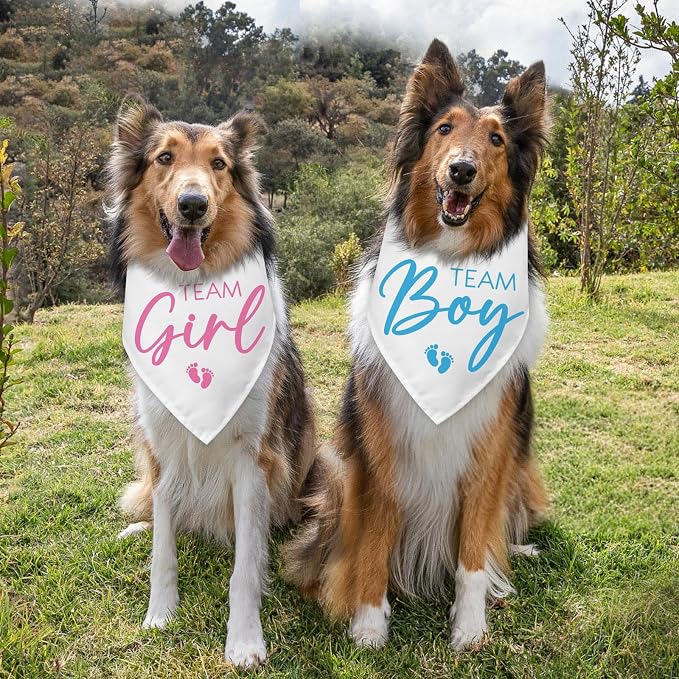 2 Packs Team Girl Team Boy Gender Reveal Baby Announcement Dog Bandana Pet - Image 3