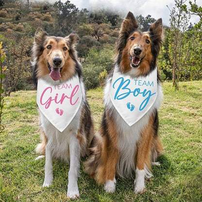 2 Packs Team Girl Team Boy Gender Reveal Baby Announcement Dog Bandana Pet - Image 3