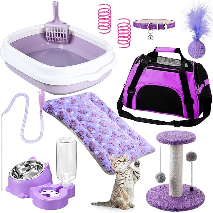 Eccliy Kitten Starter Kit, Pet Toy, Folding Carrier, Climbing Frame, Automatic by Eccliy