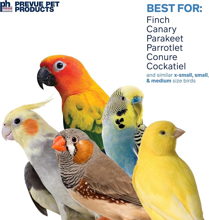 Prevue Pet Products Wholesome Naturals 4 Piece Bird Toy Bundle - Image 5