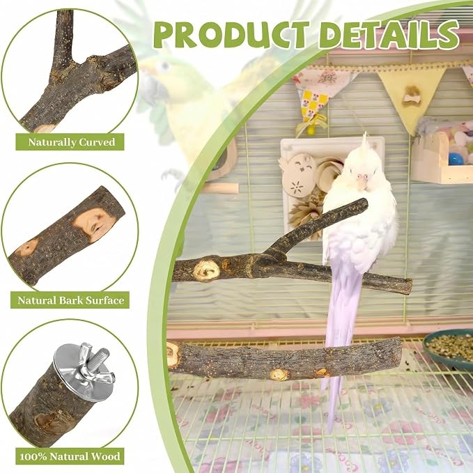 5PCS Natural Wood Bird Perch Set - Image 3
