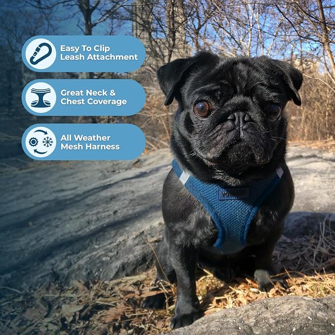 Best Pet Supplies Voyager Step-in Air Harness - Image 3