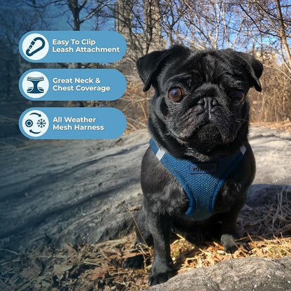 Best Pet Supplies Voyager Step-in Air Harness - Image 3