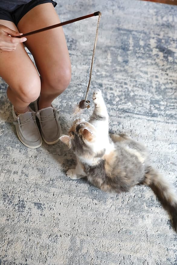 OurPet's Play-N-Squeak Teathered & Feathered Play Wand Cat Toy - Image 4