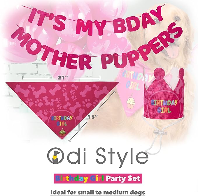 Dog Birthday Party Supplies - Image 5