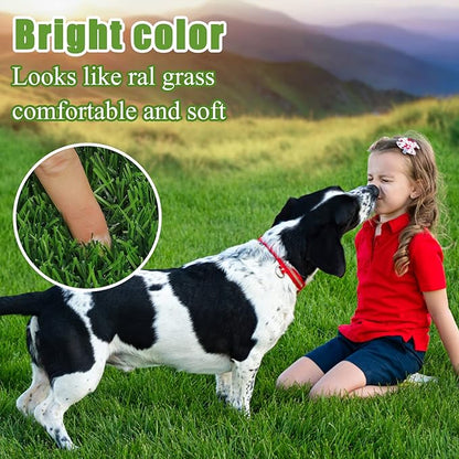 Bsmathom Artificial Grass Rug Indoor Outdoor Rug, Professional Dog Potty - Image 6