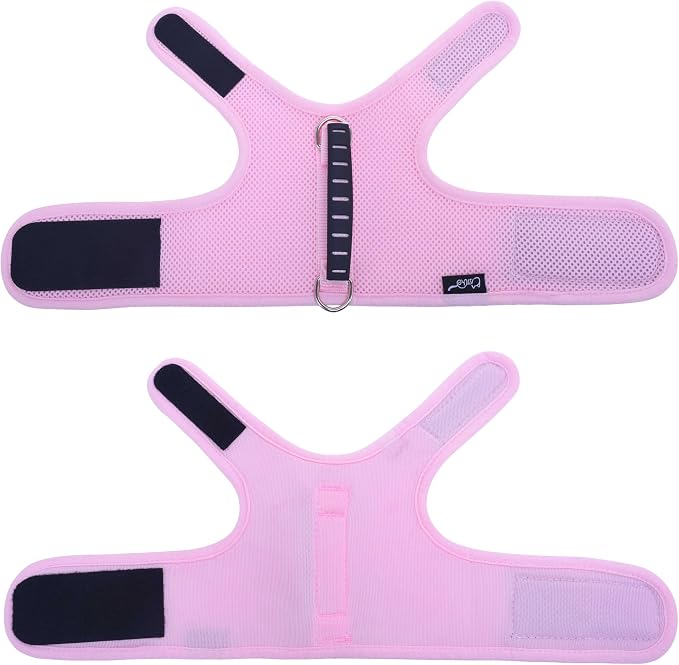 Cat Harness and Leash for Walking Escape Proof Breathable Mesh Fabric, Solid - Image 8