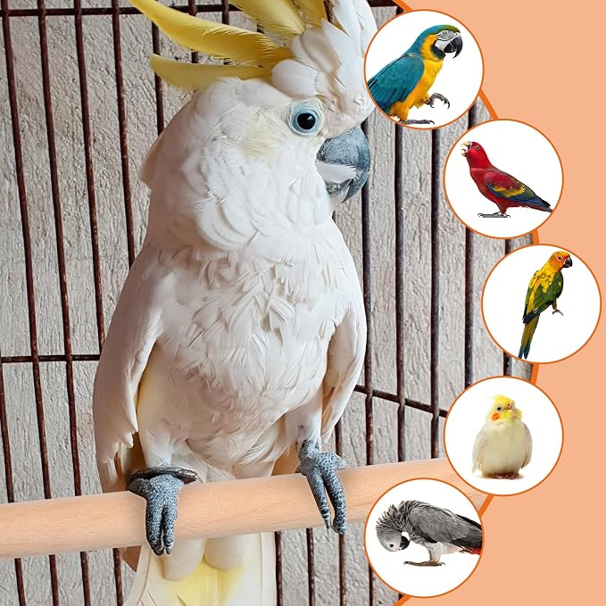 2PCS Bird Perches for Cage Wooden Parrot Perch Stand, Parrot Perches Toys Wood - Image 4