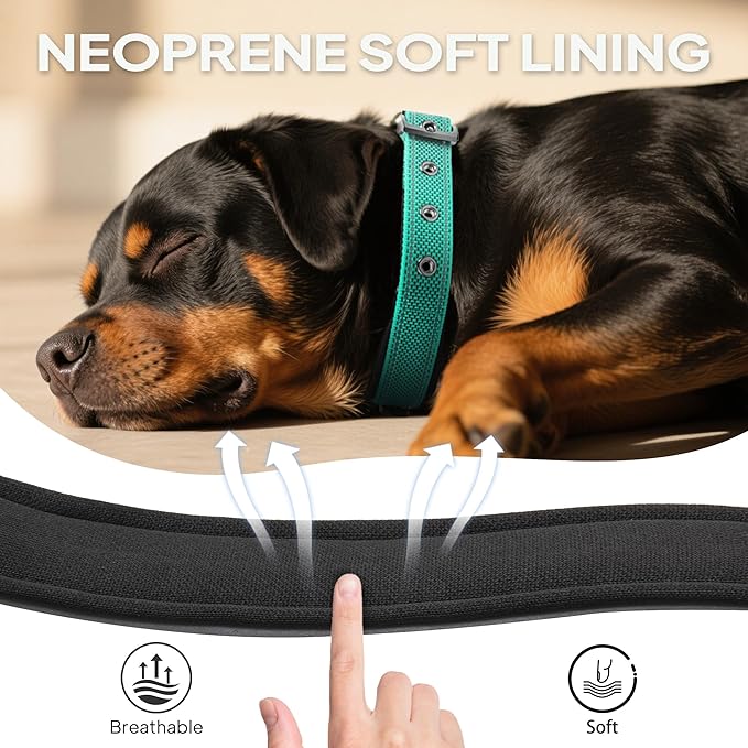 PetiFine Dog Collars for Medium Dogs, Neoprene Padded and Adjustable, - Image 3