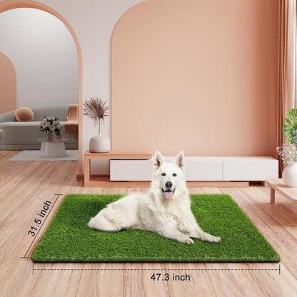 Artificial Grass, Professional Dog Grass Mat, Potty Training Rug and - Image 2