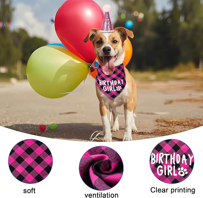Dog Birthday Party Supplies Decorations - Image 5