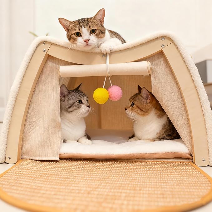 Cat Houses for Indoor Cats - Image 6