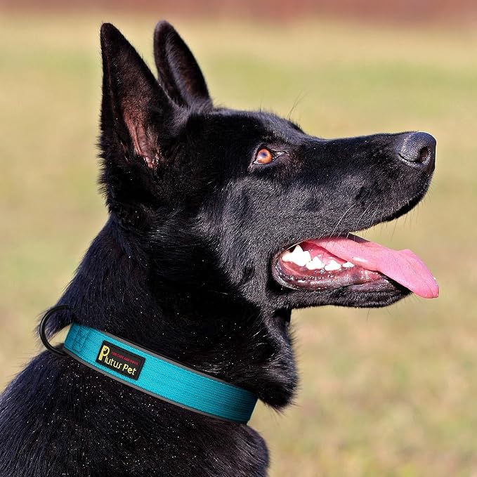 Plutus Pet Tactical Dog Collar, Reflective, Adjustable Heavy Duty Dog Collar - Image 6