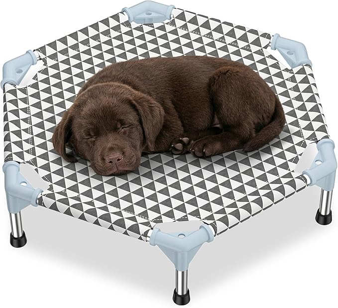 Elevated Outdoor Dog Bed by KuntrustDirect