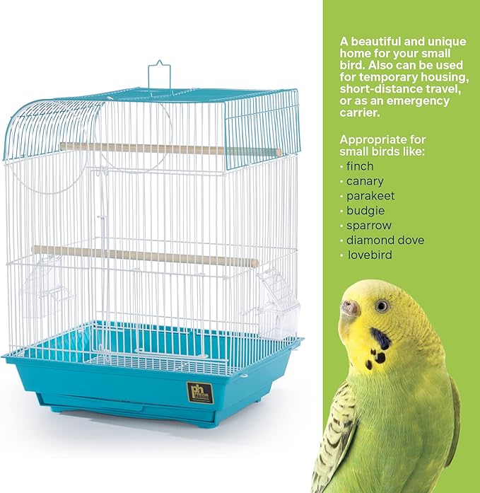 Prevue Pet Products South Beach Flat Top Bird Cage - Image 4