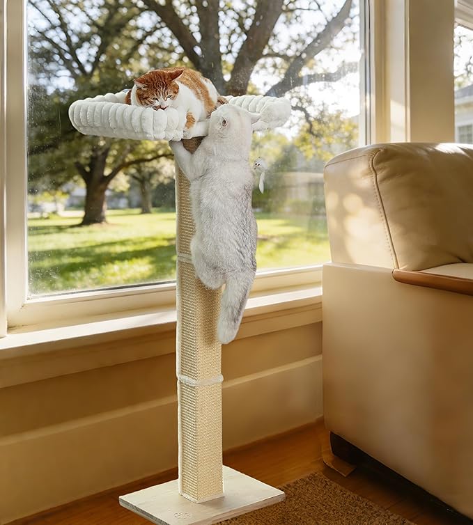 Cat Scratching Post with Large Window Perch - Image 7