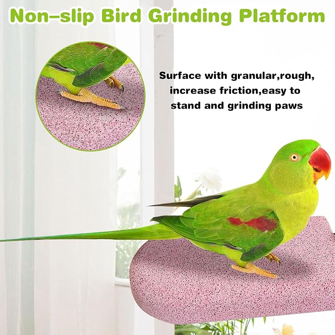 PINVNBY 3 PCS Bird Perches Calcium Parrot Perch Stand Bird Beak Grinding Stone - Image 4