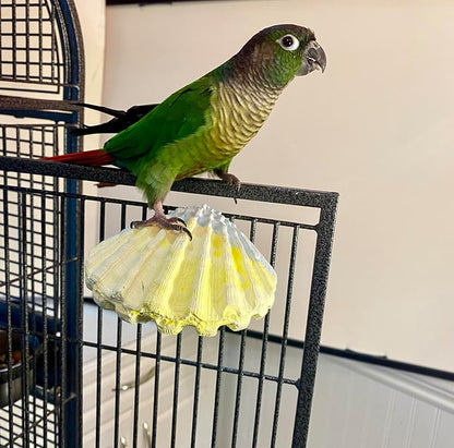Polly's Comfy Clam Parrot Cage Flat Bird Perch - Image 3