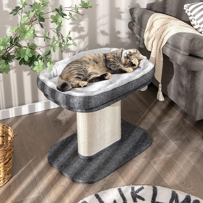 Tangkula Cat Tree for Indoor Cats, 2-Tier Cat Tower - Image 2
