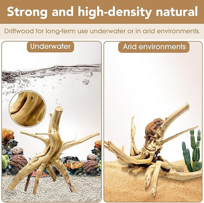Jorewood Natural Small Spiderwood Driftwood - Image 3